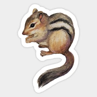 Watercolor Cute Chipmunk Illustration Sticker